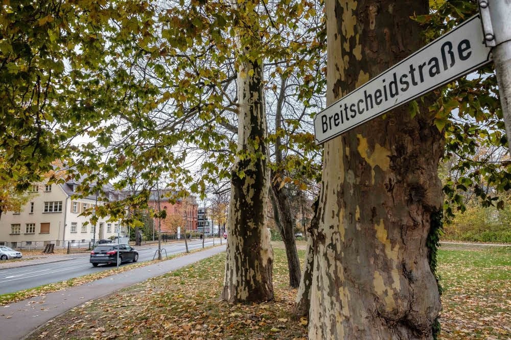 Die Stadt Wittenberg hat die Absicht, die Breitscheidstraße bereits 2019 auszubauen.