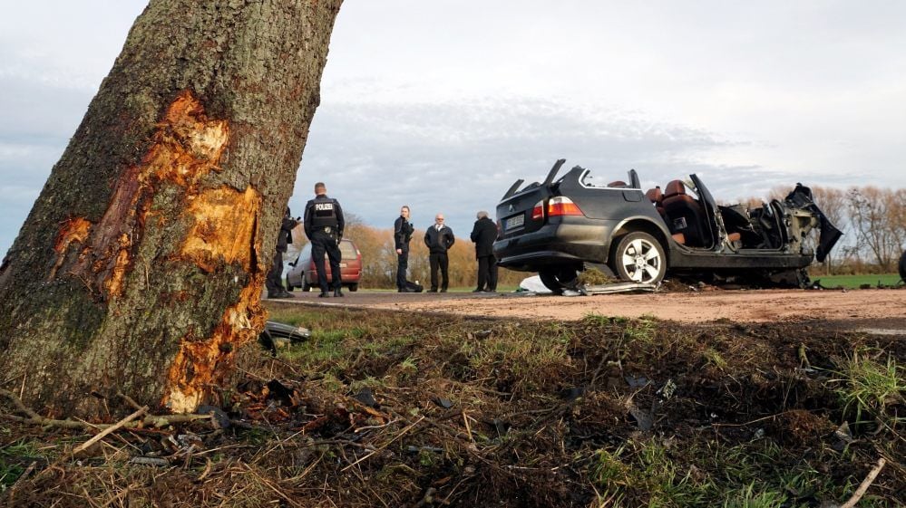 Ein tragischer Unfall ereignete sich zwischen Winningen und Hecklingen. Der BMW fuhr frontal gegen diesen Baum.