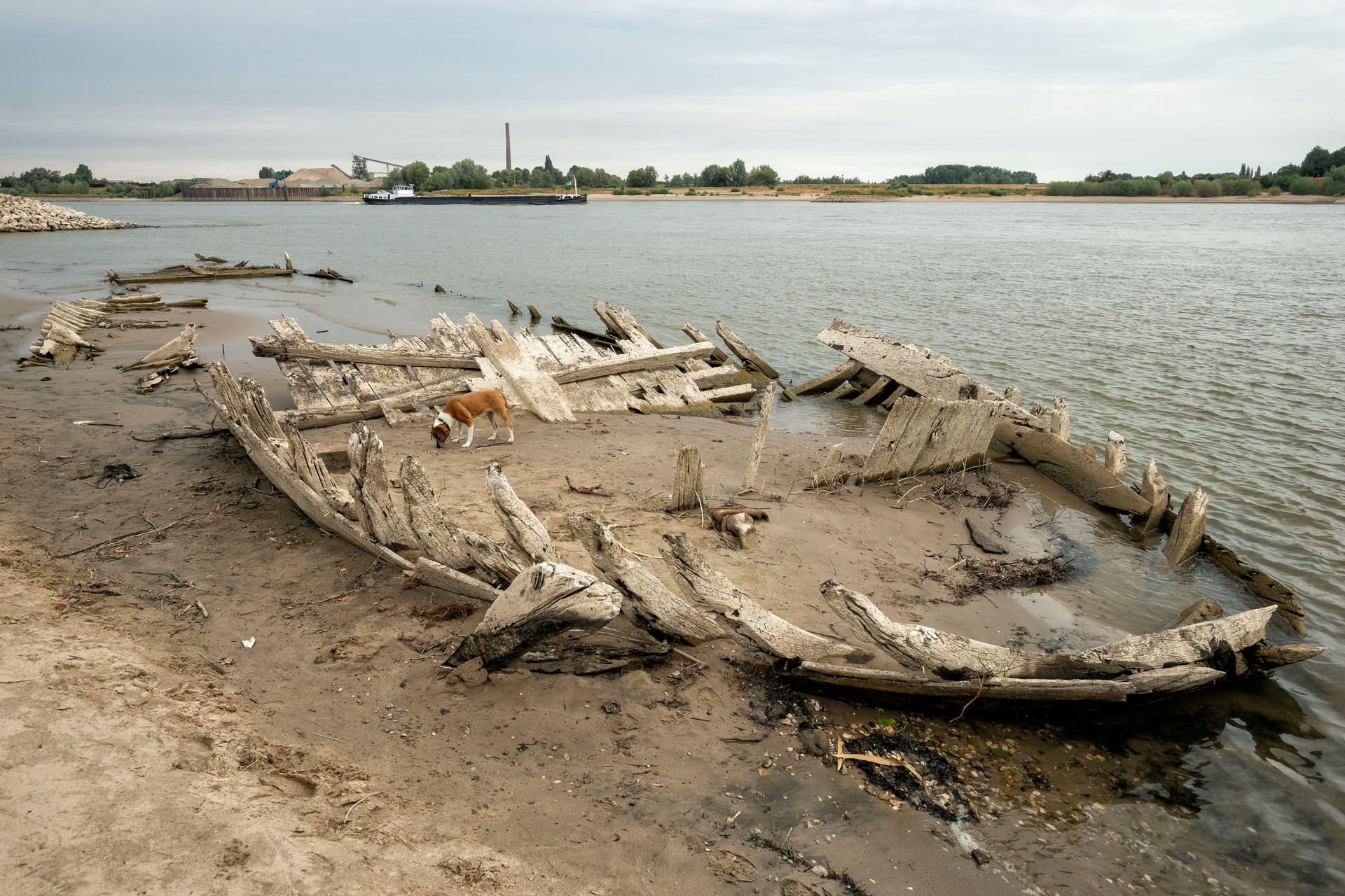 An der holländischer Grenze ist ein Schiffswrack im Rhein entdeckt worden.