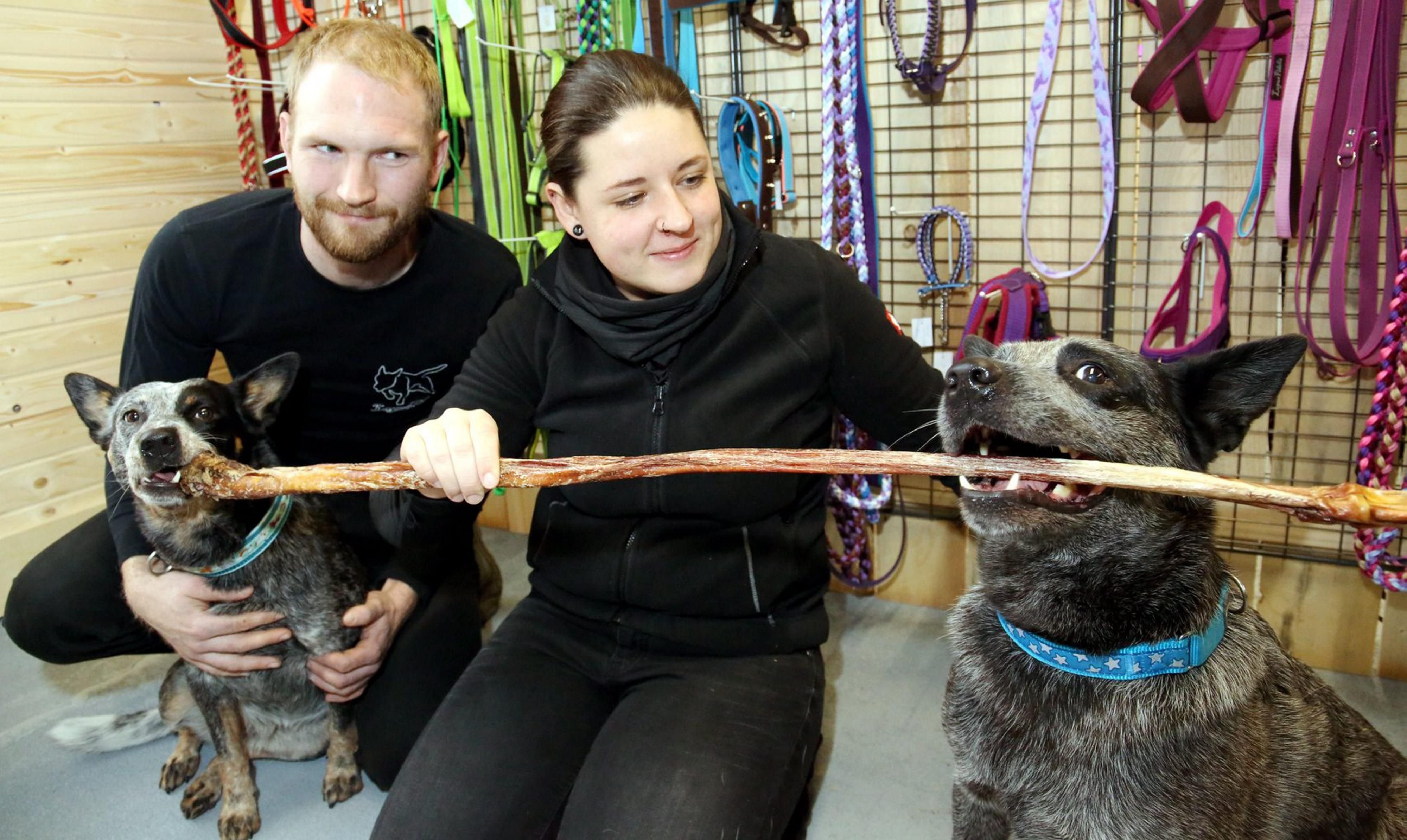 Marian Wachsmuth und Saskia Natkanski - mit den beiden Australian Cattle Dogs Phoebe und Panda - sind mit ihrem Geschäft von Bernburg nach Ilberstedt umgezogen.