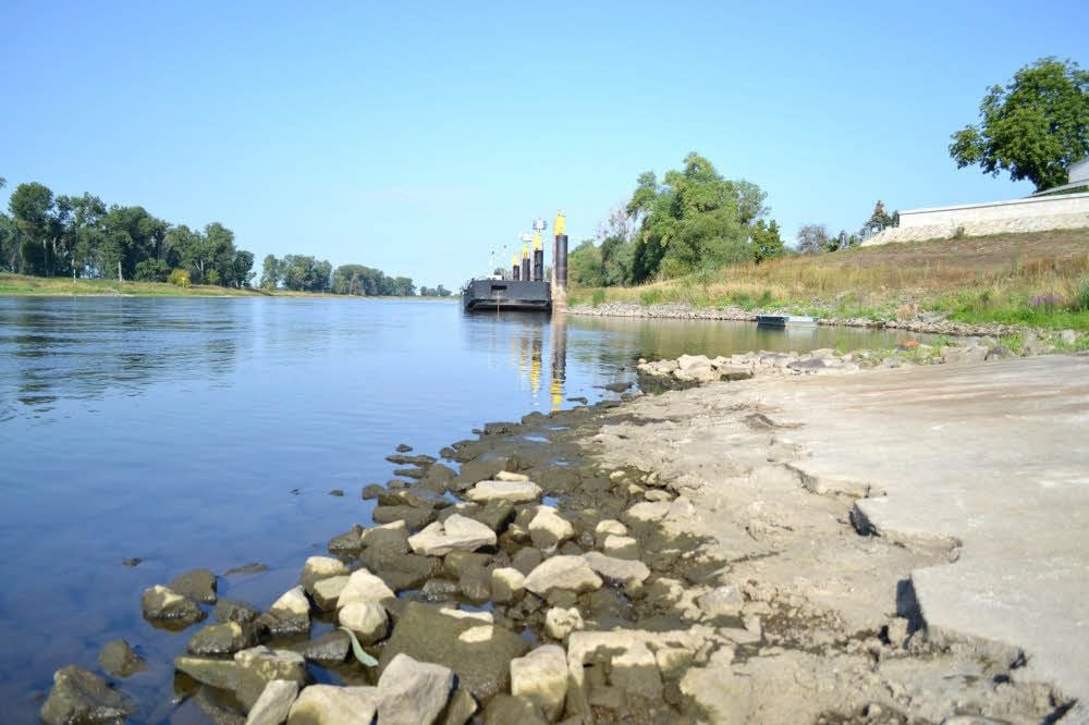 Wenig Wasser in der Elbe.