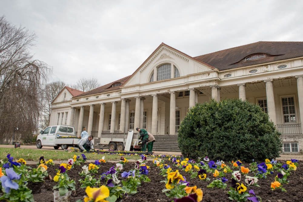 Wenn das Kurmittelhaus nicht vor sich hinblättern würde … Das Unternehmen Krunig Garten- und Landschaftsbau hübscht die Kulisse im unteren Kurpark von Bad Kösen mit Blümchen auf.