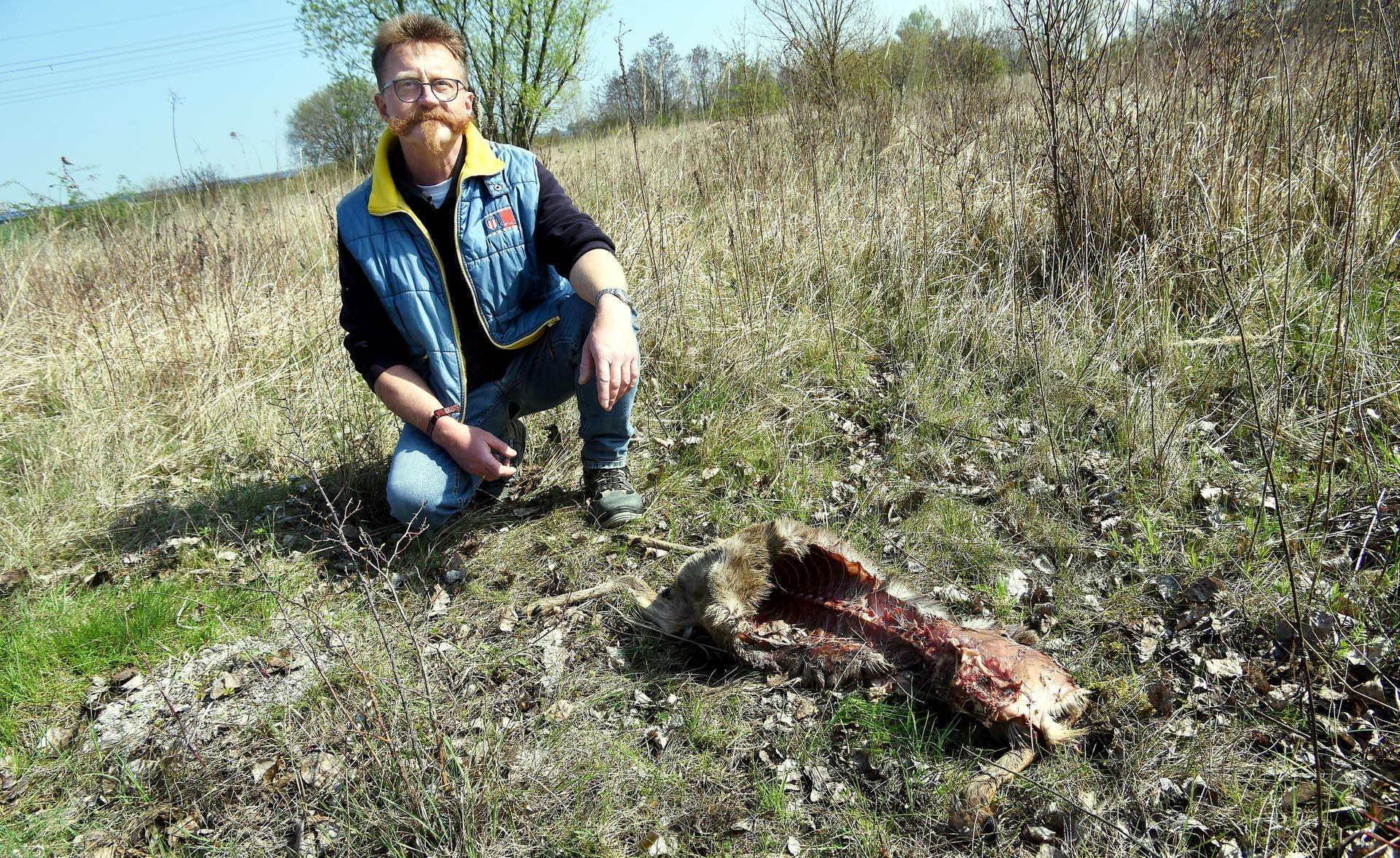 Der Zeitzer Harald Lenk hat beim Spaziergehen mit seinem Hund zwei tote, erhaltene aber kopflose Rehe gefunden.