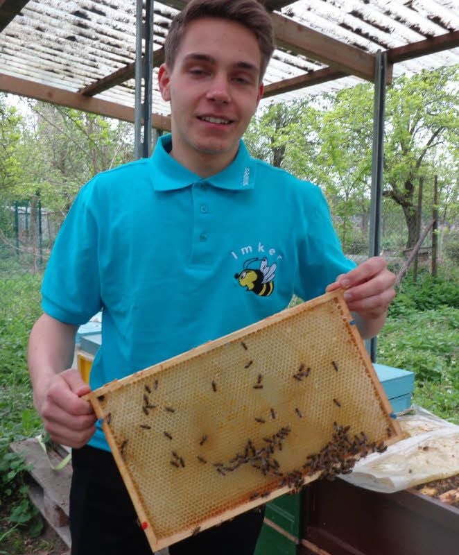 Johannes Döring und seine Bienen