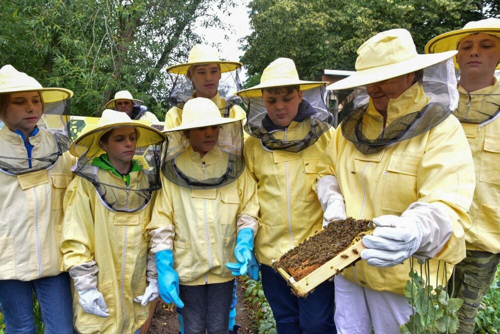 Der Lohn fleißiger Arbeit: Die Imker-AG der Sekundarschule Zoberberg bei ihrer ersten Honigernte