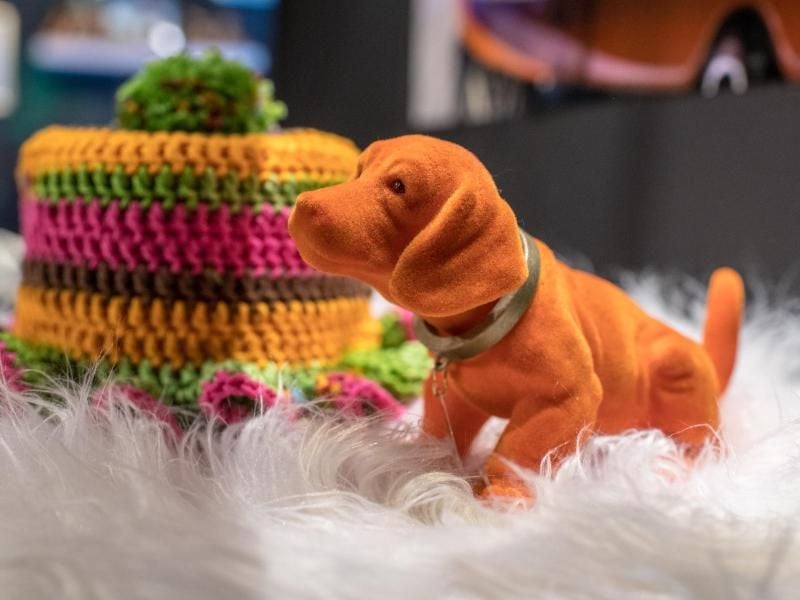 Ein Wackeldackel. Foto: Armin Weigel