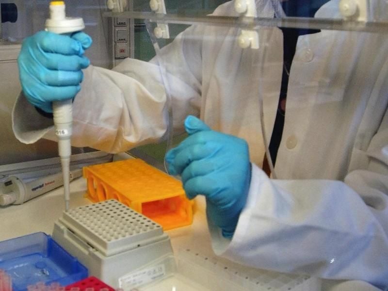 Eine Labormitarbeiterin separiert DNA-Proben. Foto: Mauricio Gambarini/Archiv