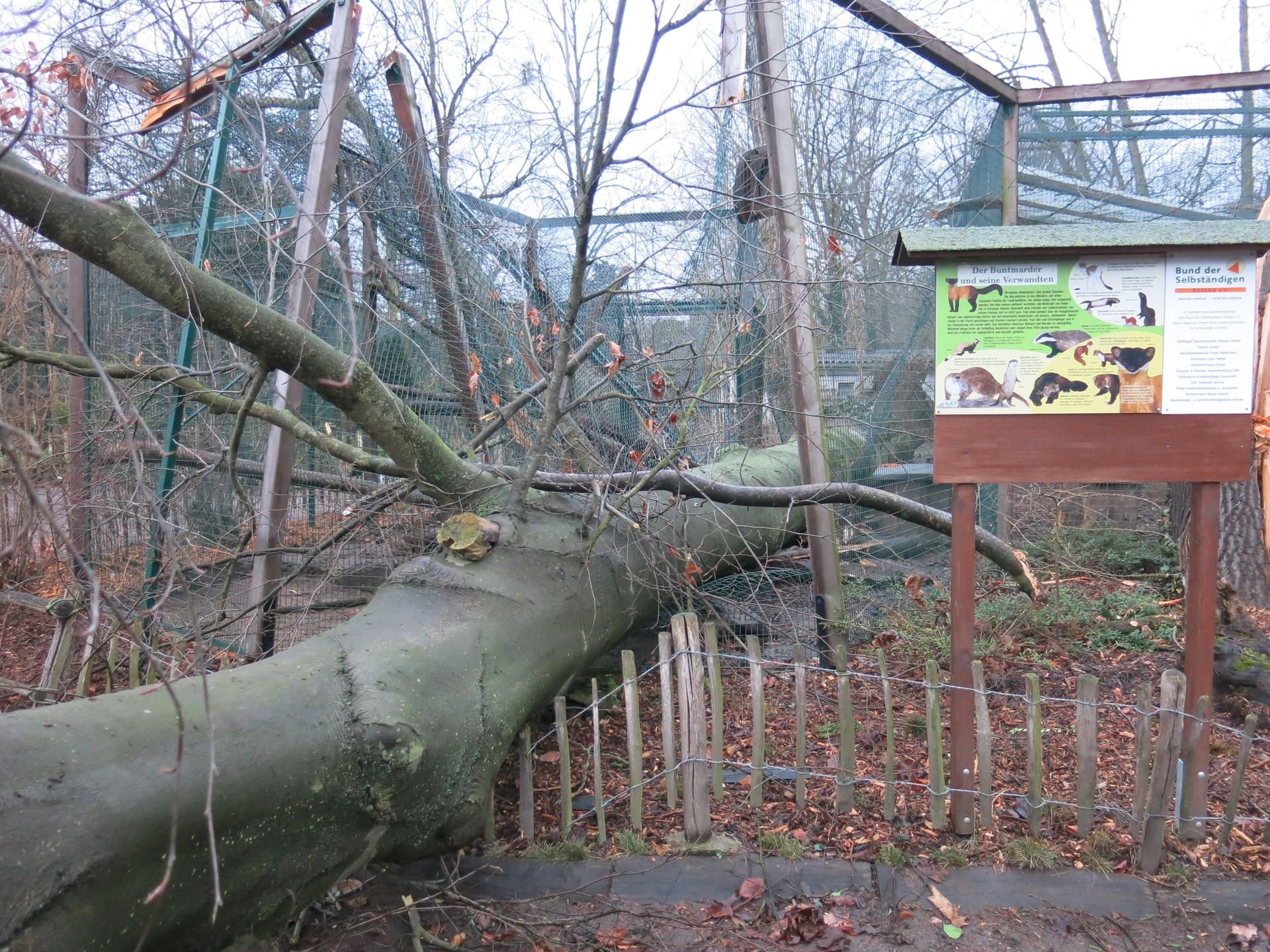 Das Gehege im Tierpark ist durch den Sturm beschädigt worden.