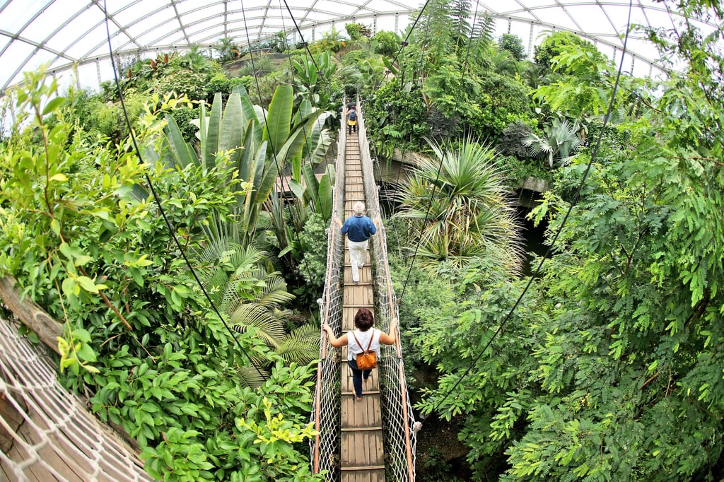 Das Gondwanaland im Zoo in Leipzig ist wieder für Besucher geöffnet.