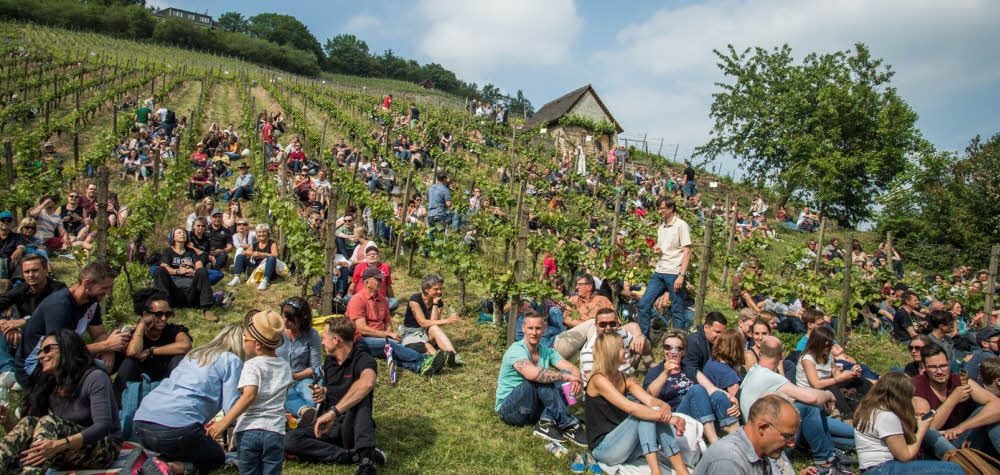 Am Sonnabend angenehm, aber am Sonntag bei höheren Temperaturen kaum auszuhalten - ein sonniges Plätzchen im malerisch gelegenen Weinberg des Weingutes Hey. Die Weinmeile 2018 war wieder bestens besucht.