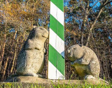 Im Internet gibt es jetzt eine kostenlose Broschüre Tagesaktivitäten, Kurse und Feriencamps mit Outdoor-Aktivitäten im Naturpark Dübener Heide.