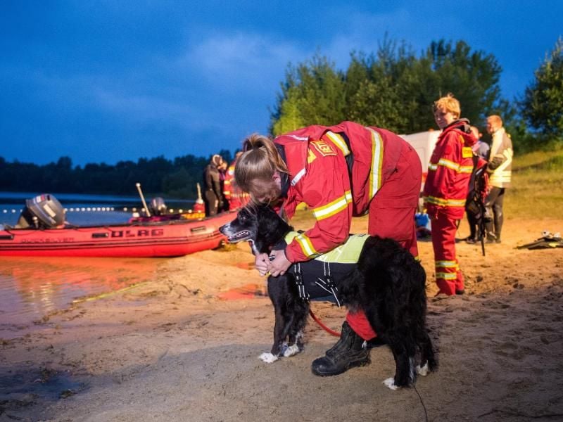Eine Rettungshundeführerin bereitet ihren Hund für einen Sucheinsatz vor. Foto: Daniel Bockwoldt