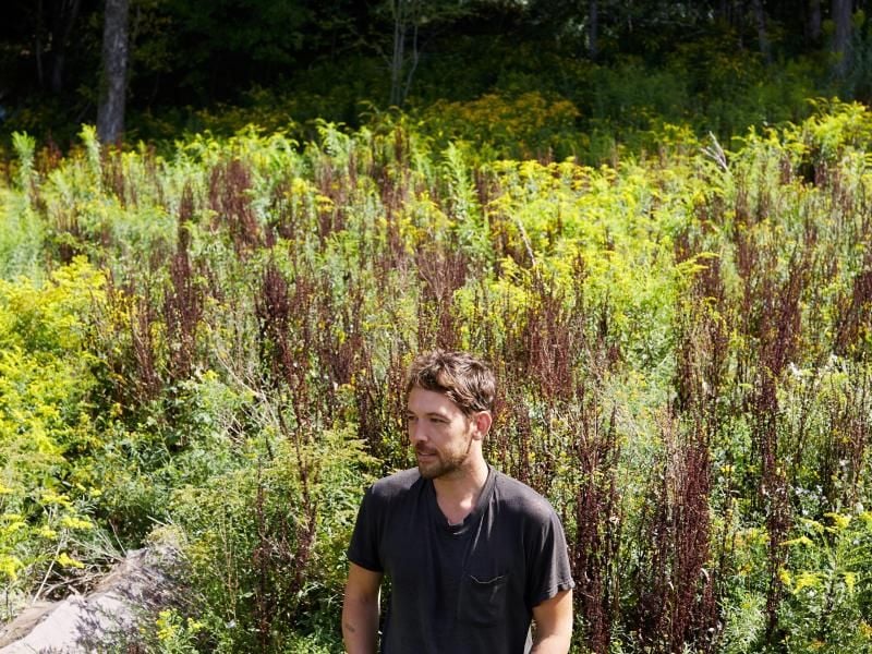 Robin Pecknold streichelt die Seele. Foto: Emili Johnston/Anti-/dpa