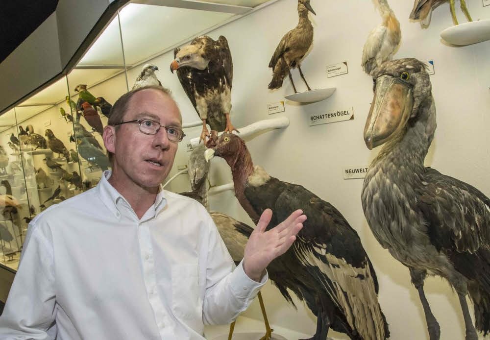 Rüdiger Becker ist der neue Leiter des Halberstädter Vogelkundemuseums.
