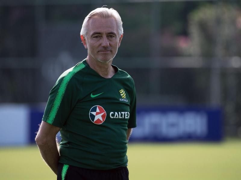 Bert van Marwijk setzt auf seine eigenen Assistenztrainer. Foto: FOOTBALL FEDERATION AUSTRALIA