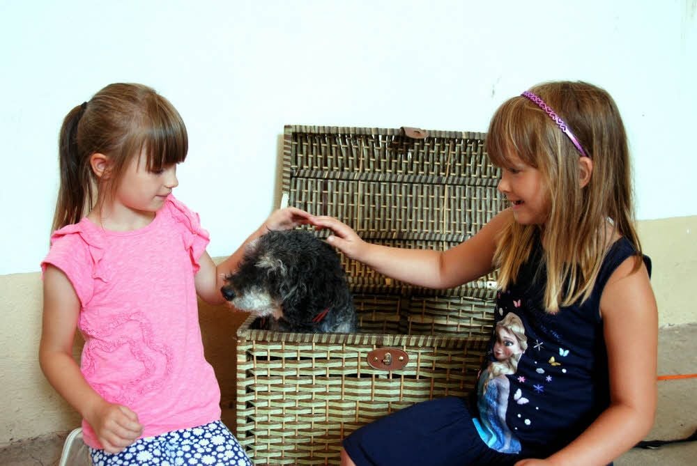 Marlene (links) und Lina (beide 6 Jahre alt) streicheln den Hunderüden Mozart beim Bibliotheksfest in Beesenlaublingen.