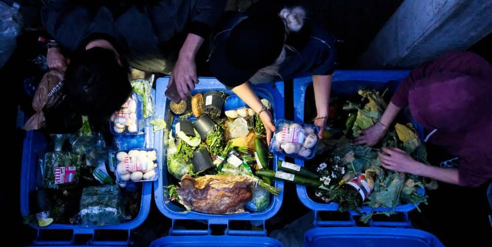 Abgepackte Pilze, Blumen und Brote: Drei Studenten sammeln noch gut erhaltene Lebensmittel aus Mülltonnen ein.