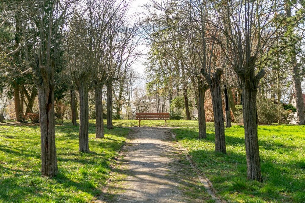 Der Lenssenpark wird von vielen nicht bewusst wahrgenommen.