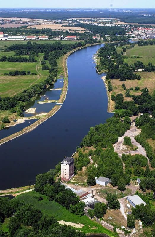 Die Elbe zwischen Dessau und Roßlau.