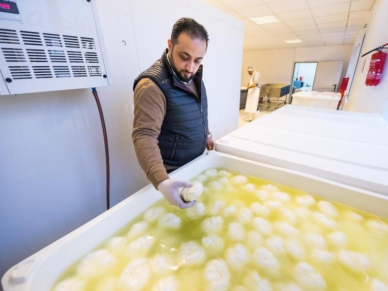 Abdul Saymoa kontrolliert Chalali Käse, der in einem Bottich schwimmt. Foto: