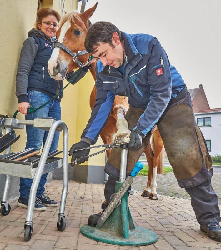 Andreas Elze bei der Arbeit. Hier an der Stute Parodie.