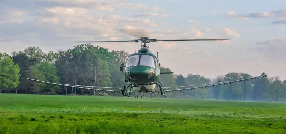 Erneut soll in diesem Jahr zum Kampf gegen den Eichenprozessionsspinner gestartet werden.