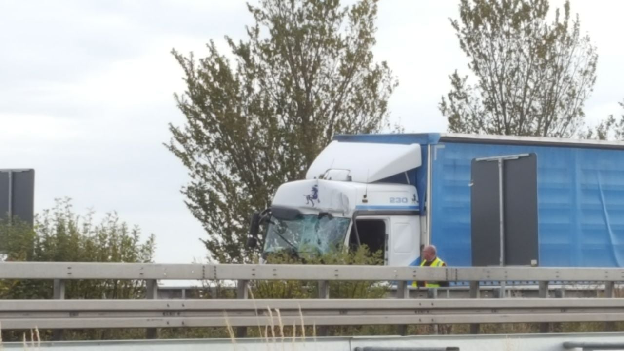 Der verunglückte Lkw auf der A14 bei Halle.