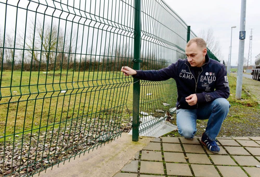 9.000 Euro Schaden Rotte Wildschweine demoliert Zaun in Osterhausen