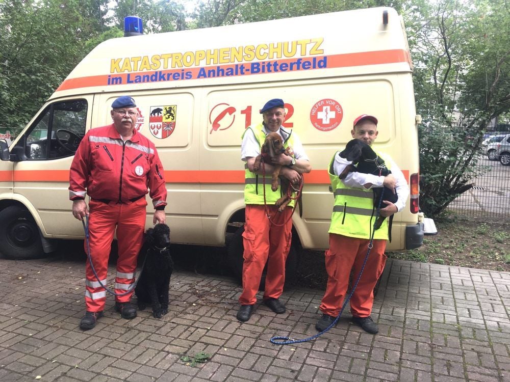 Jürgen Drechsel mit Prinz, Raymond Schulz mit Balou und Sebastian Scholz mit Spike (v. li.)