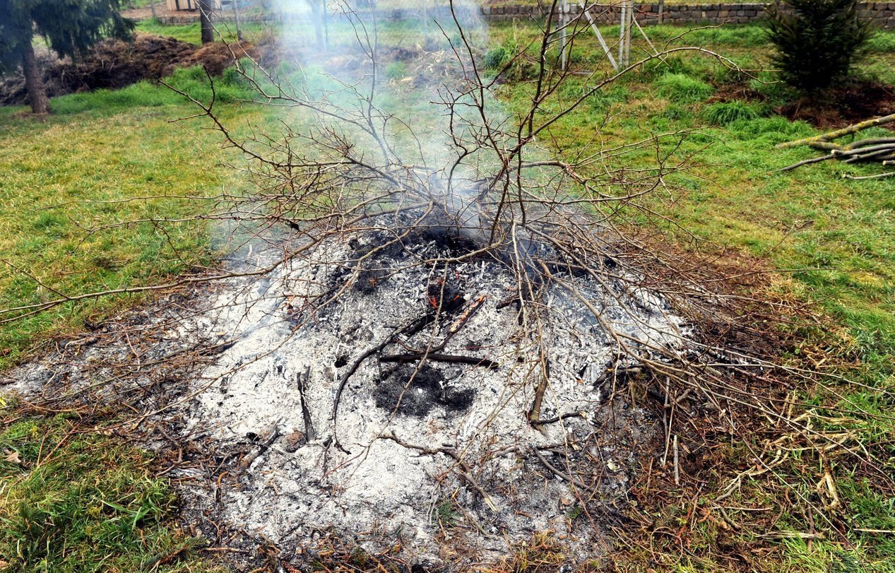 Ab März ist in vielen Orten wieder das Verbrennen von Gartenabfällen erlaubt.