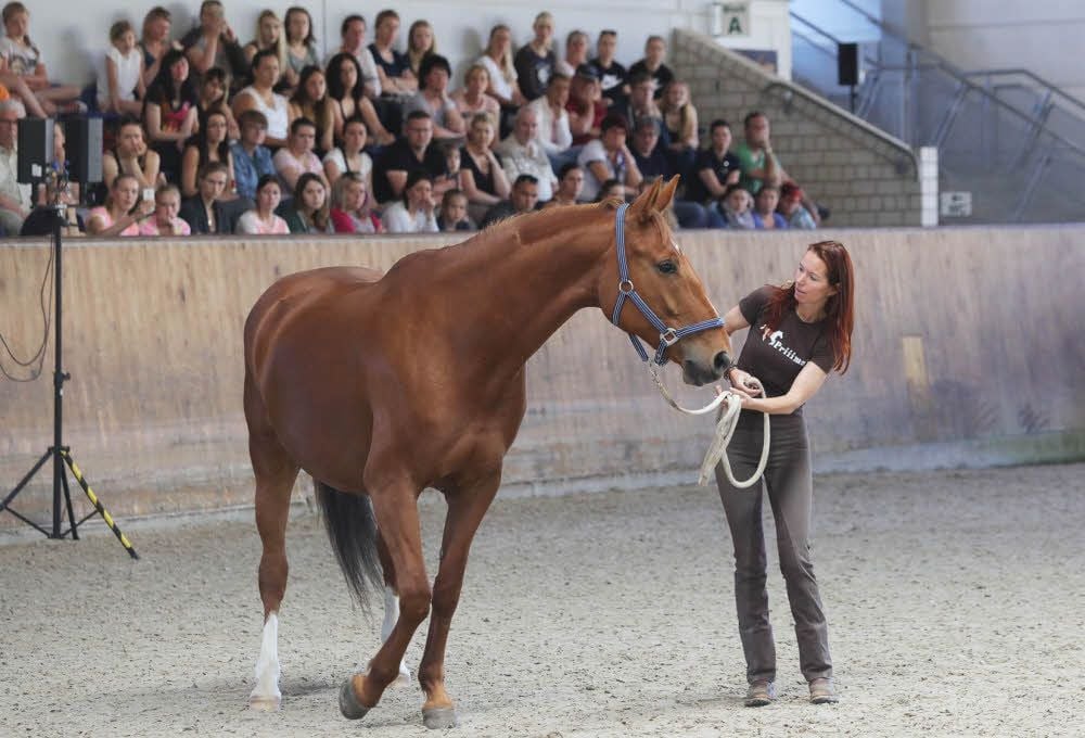 Die aus dem Fernsehen bekannte Pferdetrainerin Sandra Schneider war zu Gast in Prussendorf und zeigte dort ihr Können.