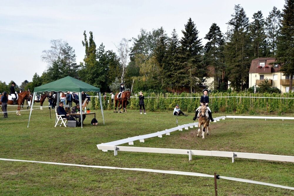 Mit den Dressurprüfungen begann traditionell der 14. Reitertag auf dem Jessener Himmelsberg. Den beiden Preisrichtern (im Pavillon sitzend) stellten sich die jüngsten Sportler auch auf Ponys.