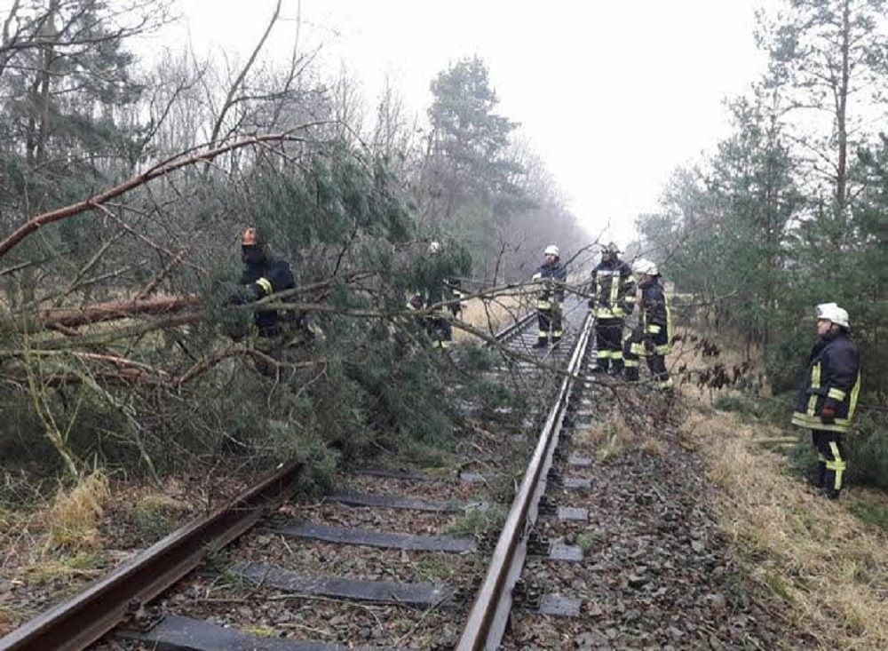 Wegen umgestürzter Bäume auf den Gleisen musste die Fahrt Richtung Akener Hafen unterbrochen werden.