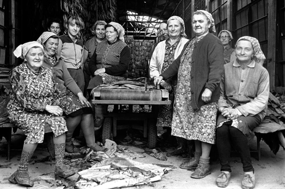 Mit Schürze und Kopftuch: Frauen in der Tabakverarbeitung, die 1988 aufgenommen wurden.