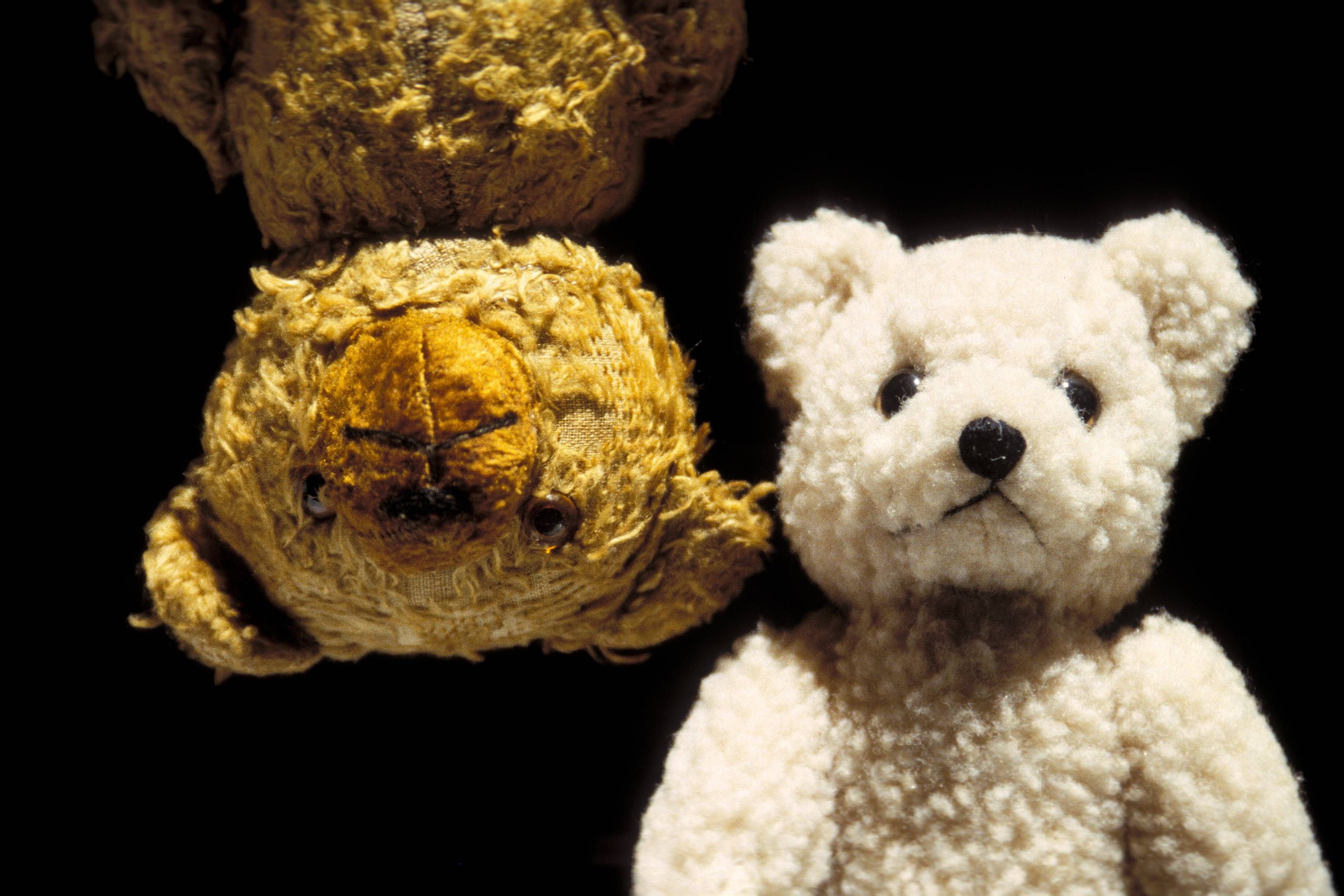 Teddys sind in Bad Kösen heute besonders gefragt.
