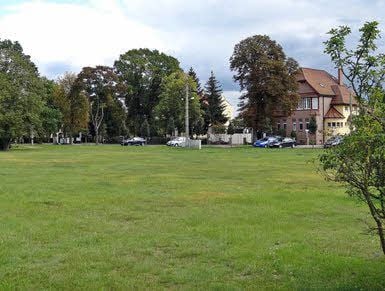 Die Hutung gegenüber der Orangerie ist für die Containerlösung für die Kindertagesstätte „Oranienbaumer Spielgarten“ im Gespräch.