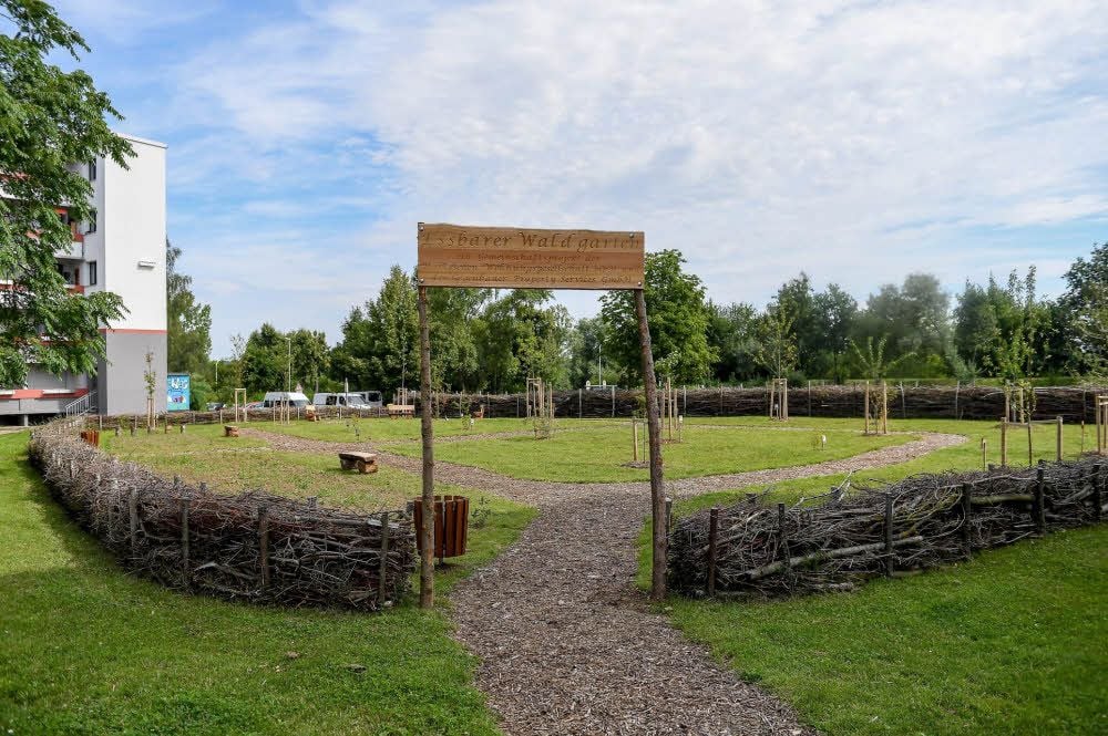 Eingang zum „Essbaren Garten“. Beeren gab es hier schon.