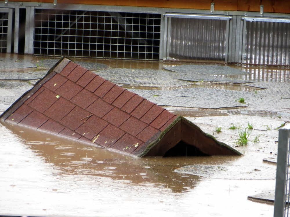 Im Zeitzer Tierheim hieß es bereits am 1. Juni 2013 „Land unter“. Und das Wasser stieg bis zum 4. Juni unaufhörlich weiter.
