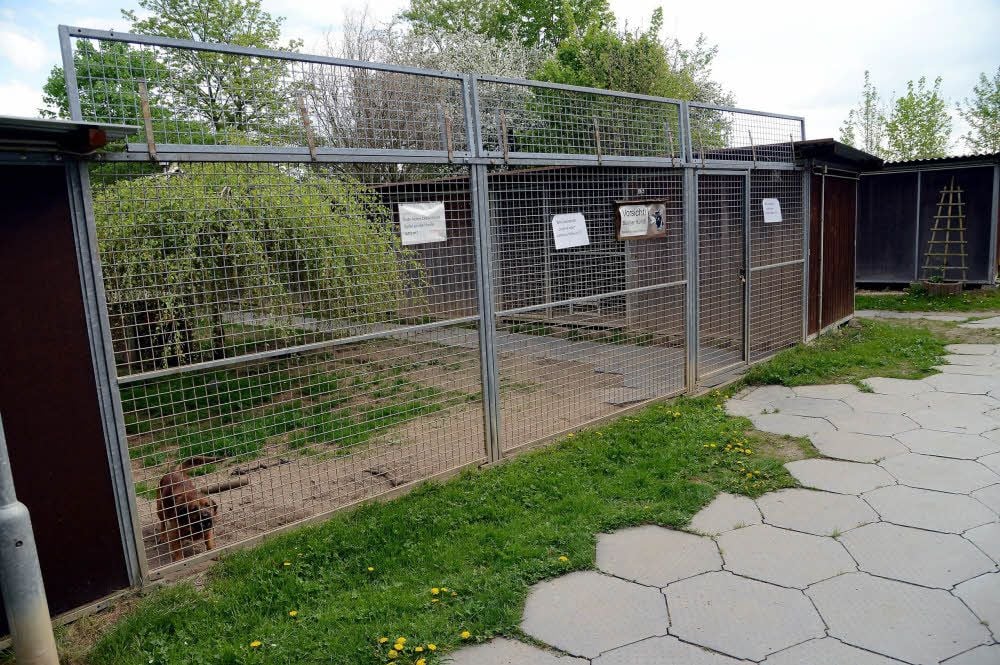 Hundehäuser und Auslauf, mehr Auswahl gibt es im Tierheim nicht, egal, ob Wohnungshund oder Zwingertier.