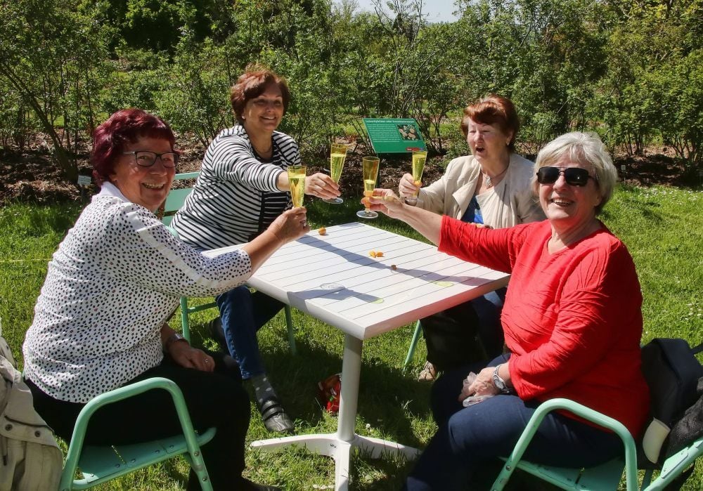 Sabine Bieling, Heidrun Bürger, Christa Lier und Monika Ahlig (von links) freuen sich, dass das Rosarium wieder geöffnet ist.