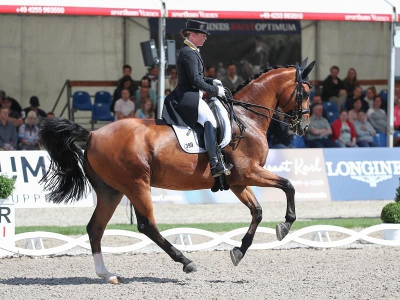 Dressurreiterin Isabell Werth auf Emilio. Foto: Friso Gentsch