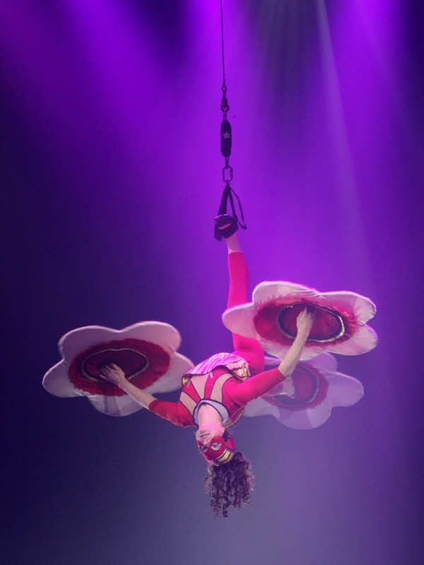 Artistin Tamara gehört auch zum Circus Probst.