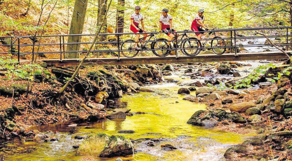 Wer lieber mit dem Rad fährt, für den hält das Ilsetal viele Touren bereit - von einfach bis anspruchsvoll.