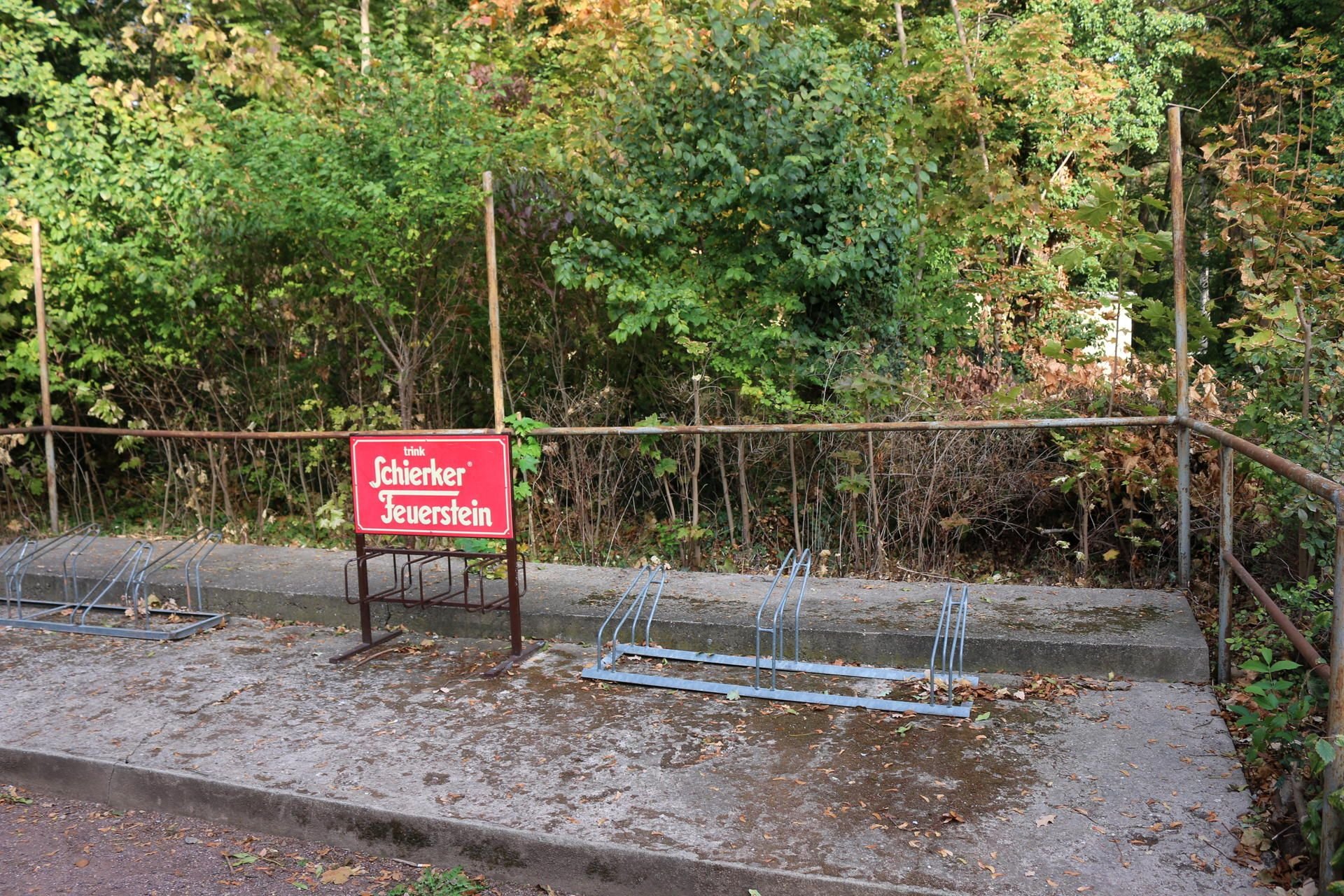 Wo jetzt noch Gestrüpp wächst, soll bald ein Neubau entstehen.