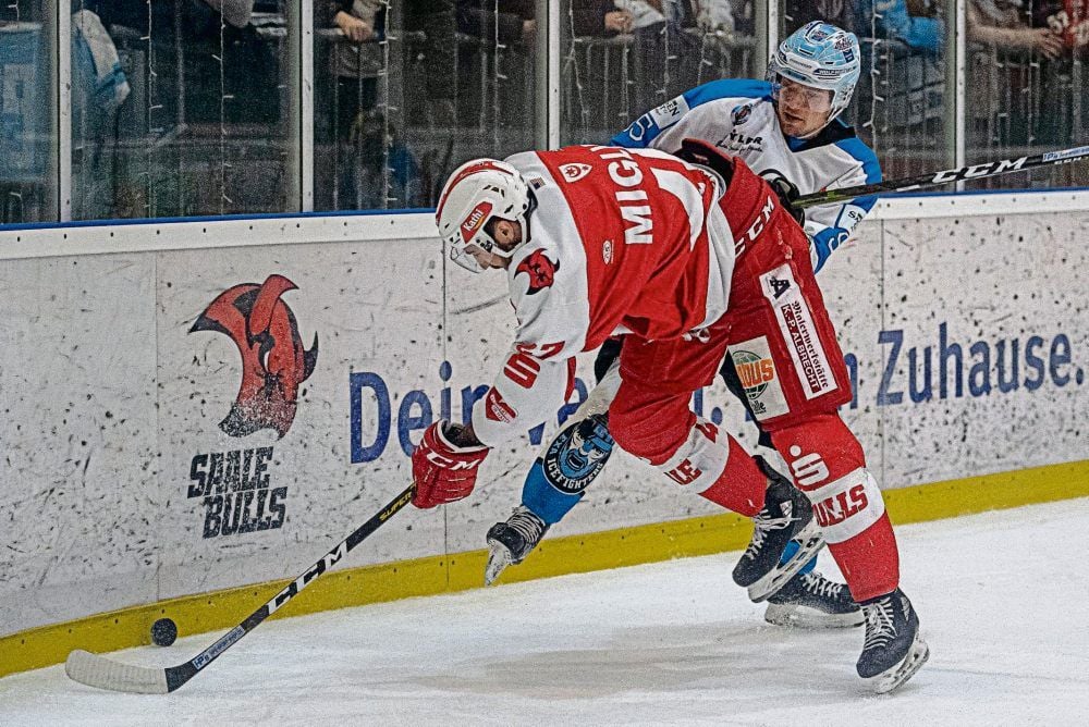 Nick Miglio (Saale Bulls) im Duell an der Bande mit einem Leipziger Kontrahenten.