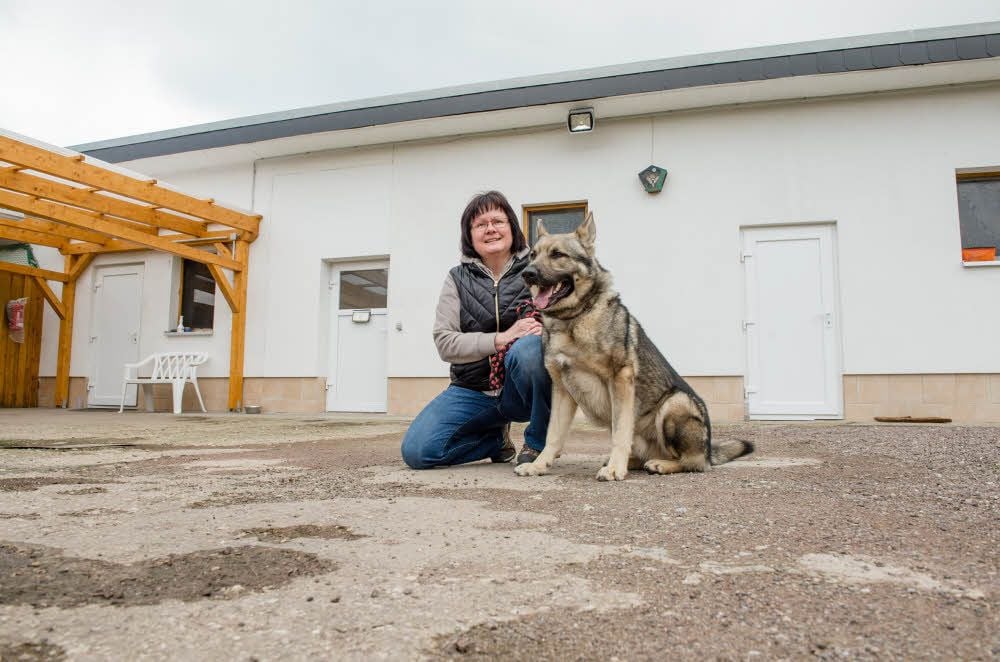 Claudia Müller, Vorsitzende des Freyburger Tierschutzvereins und Leiterin des Tierheims, mit Rex. Der vierjährige Schäferhund sucht ein neues Zuhause bei Menschen mit „Hundeverstand“.