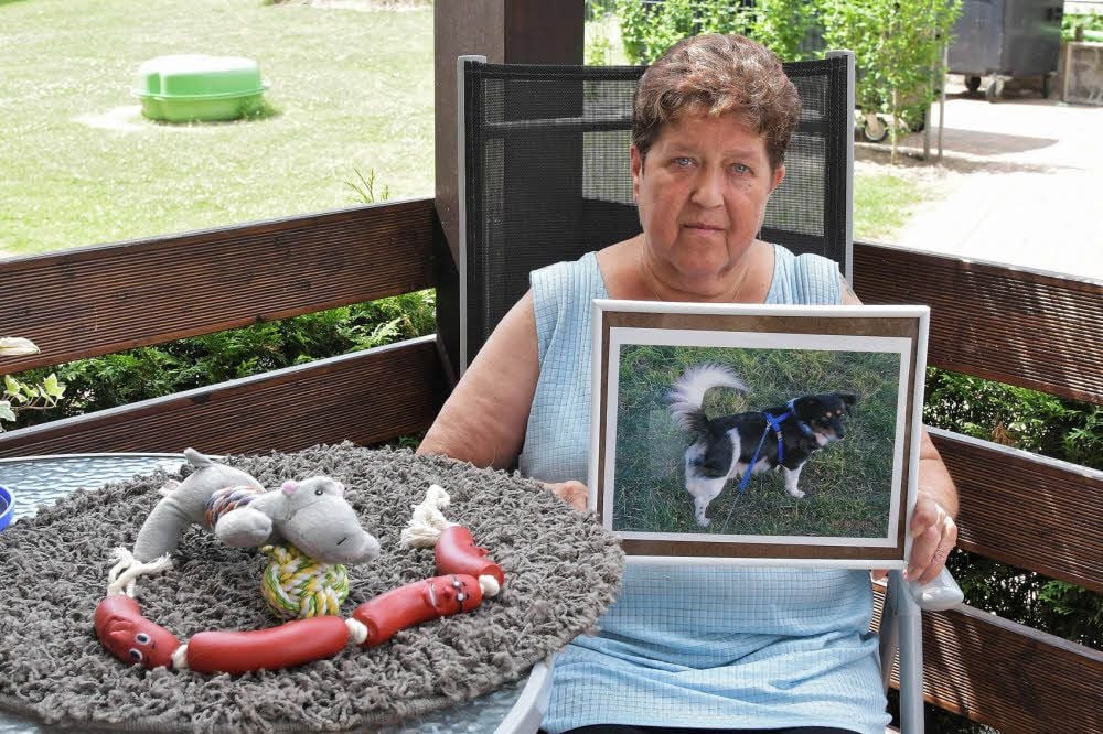 Spielzeug, Decke und Foto erinnern Birgit Schammer an Benny.