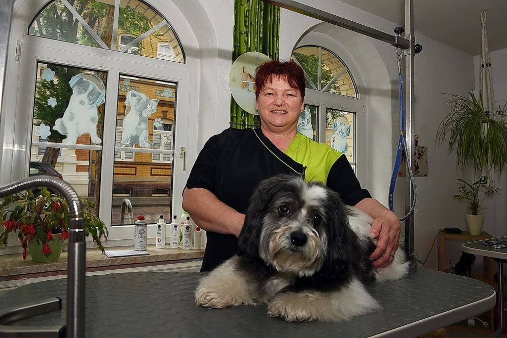 Ines Jacob betreibt den Hundesalon „Amadeus“ in Köthen. Hier frisiert sie ihren Hund Snoopy.