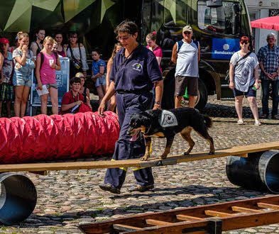 Die Hunderettungsstaffel der Feuerwehr Vockerode zeigt ihr Können.