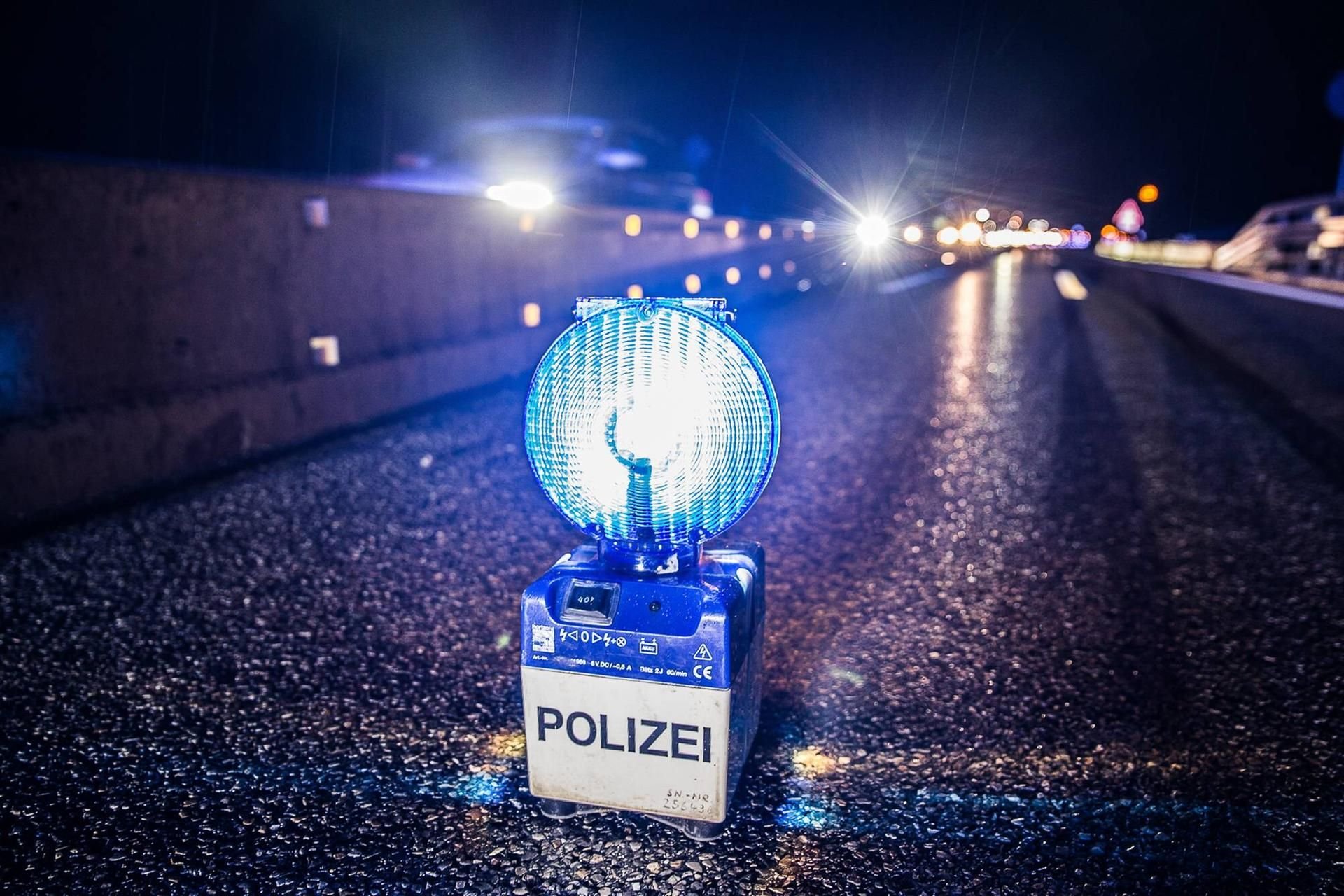 14 ausgerissene Pferde haben auf der A9 Richtung München drei Unfälle verursacht.